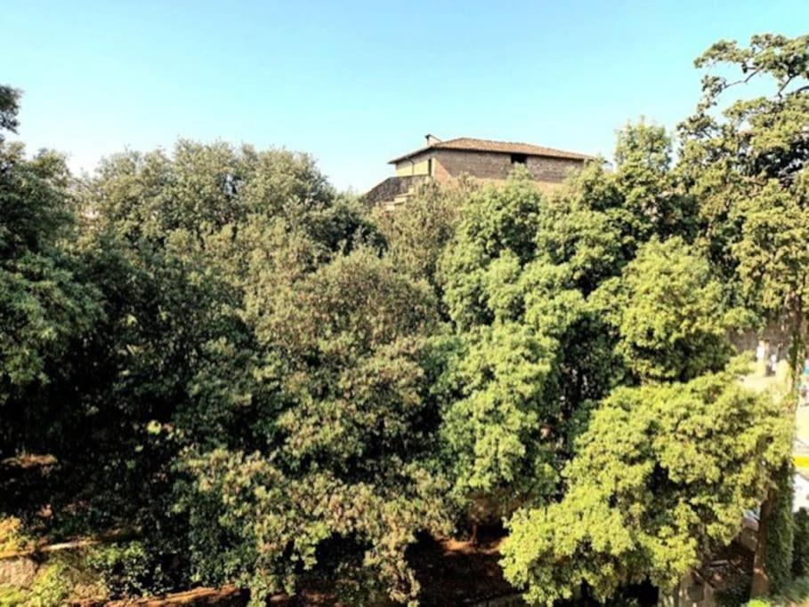 * * * * * Casa Vista Boboli Nel Cuore Di Firenze ภายนอก รูปภาพ